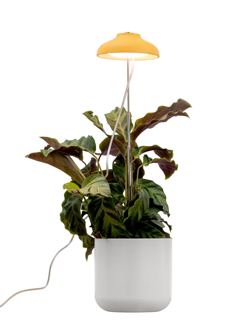 5W, 240lm, Iris, 3500K, IP20, LED Plant lamp Airam 