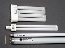 LAMPS