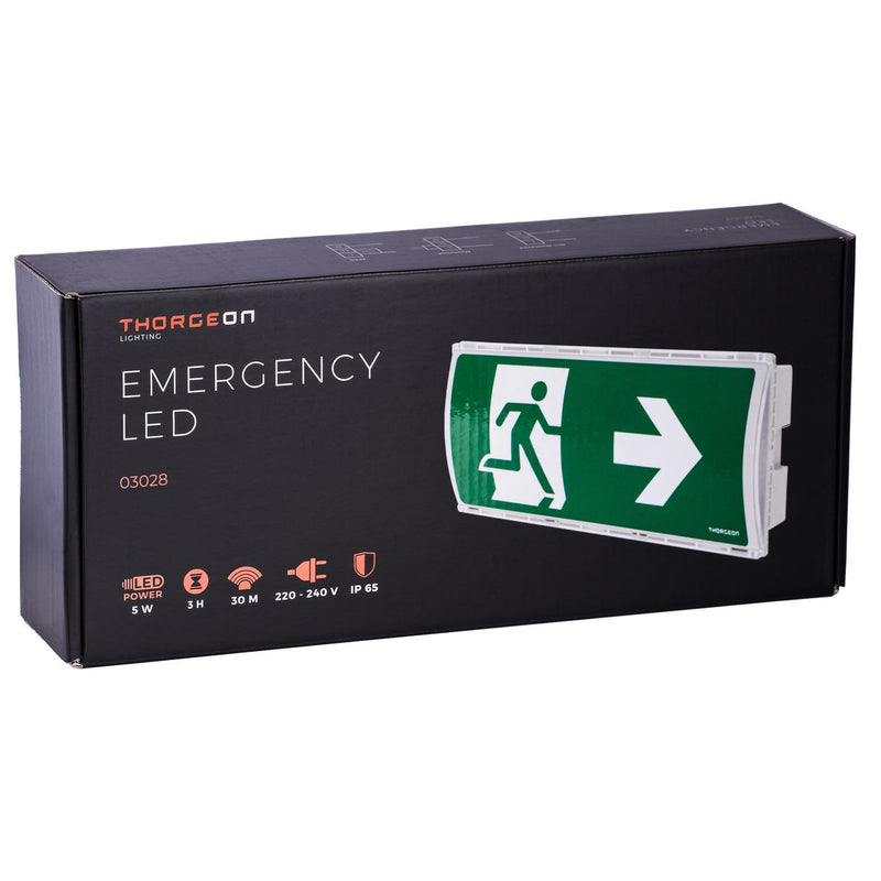 5W, 100lm, Emergency LED, IP65, IK08, with 3h battery, White LED Safety light THORGEON