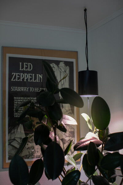 9,5W, 800lm, Fiora, 3500K, IP20, LED Kasvivalaisin Airam