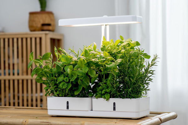 20W, 1450lm, Daisy, 3500K, IP20, LED Plant Light Airam 