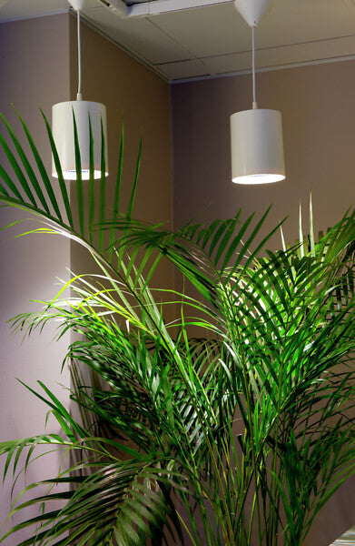 9,5W, 800lm, Fiora, 3500K, IP20, LED Kasvivalaisin Airam