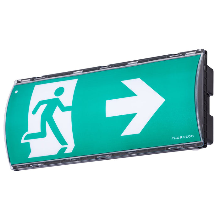 5W, 50lm, Emergency LED, IP65, IK08, with 3h battery, Black LED Safety light THORGEON