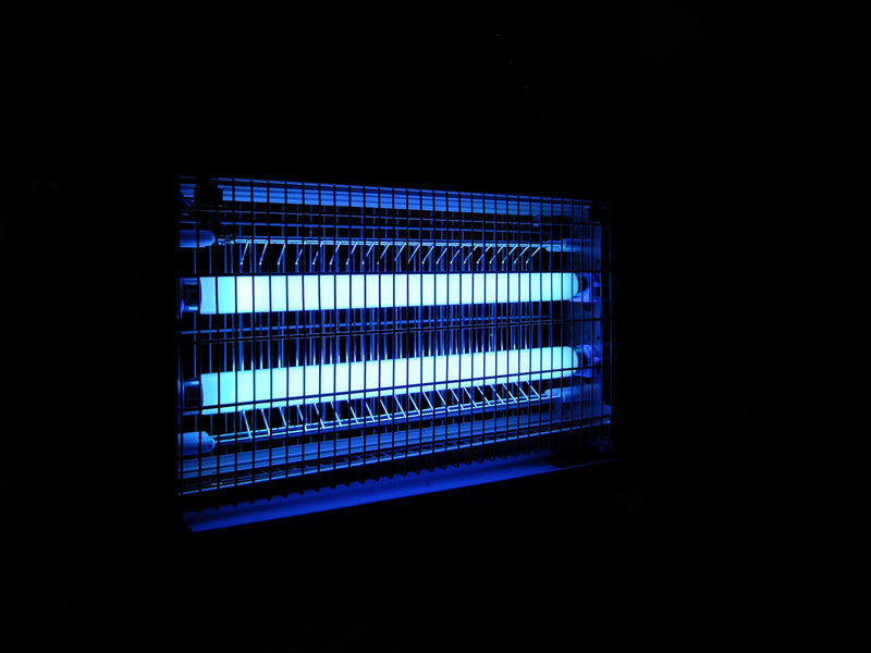 36W, Blacklight Compact BL368, 2G11, 38x415mm, Hyönteislamppu Sylvania