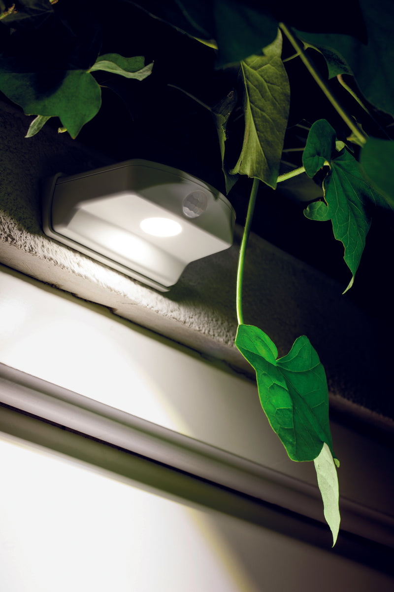 0.95W, 40lm, DoorLED Down Sensor, 4000K, IP54, LED Outdoor wall light with motion sensor Osram