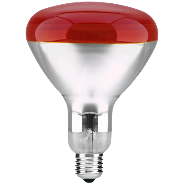220-240V, 250W, IR RED, R120, 125x173mm, Infrapunalamppu